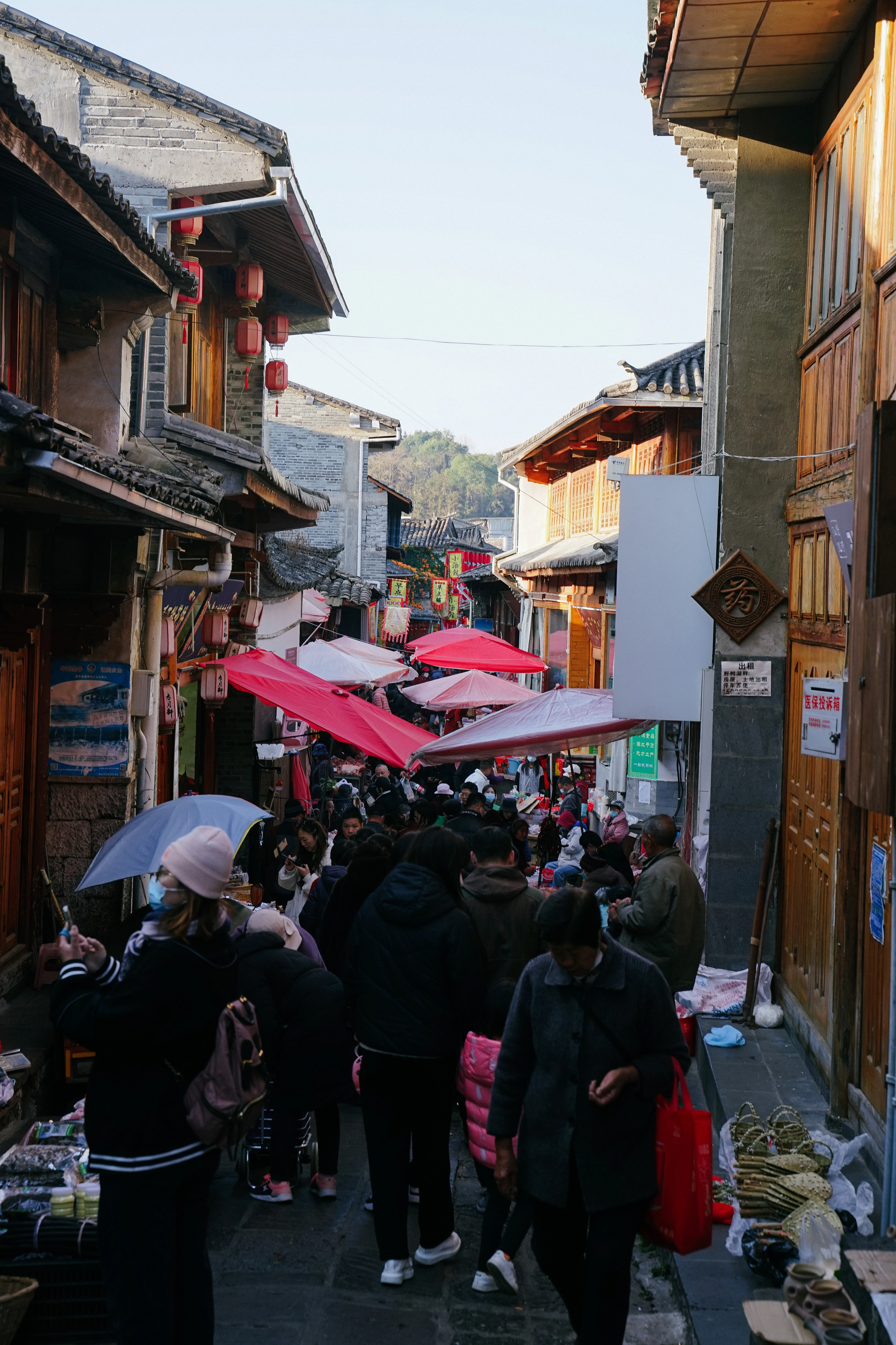 DSC09765.webp